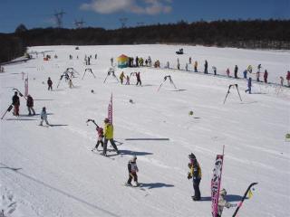 DSC05953 (Small)