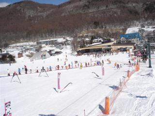 DSC05954 (Small)