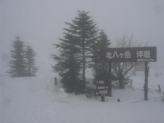 DSC06135 (Small)