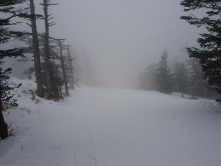 DSC06134 (Small)