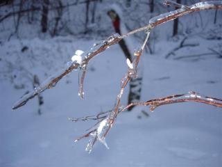 DSC05965 (Small)