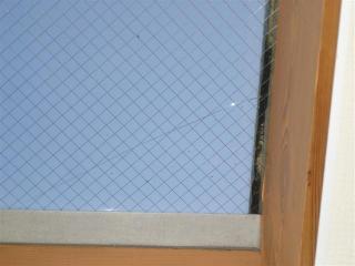 DSC06008 (Small)