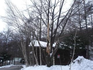 DSC06125 (Small)