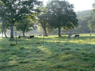 DSC07217 (Small)