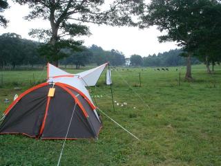 DSC07220 (Small)