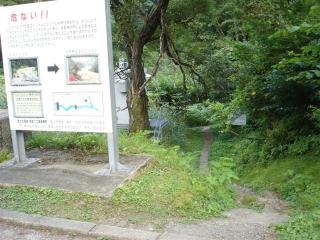 DSC07185 (Small)
