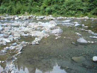 DSC07184 (Small)