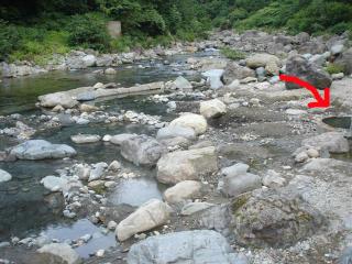 DSC071831 (Small)