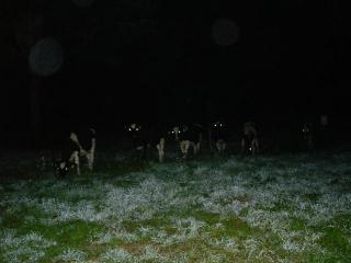 DSC07200 (Small)