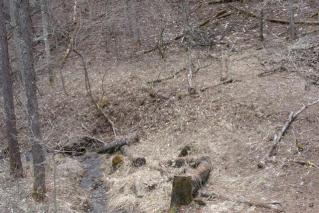 DSC07638 (Small)