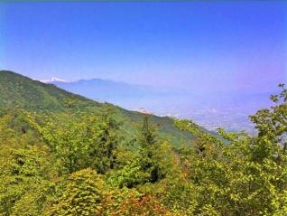 IMG_0178 (Small)