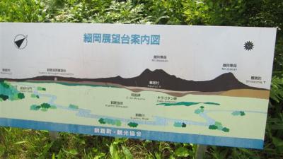 IMG_0514 (Small)