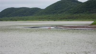 IMG_0519 (Small)