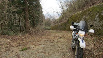 IMG_3067 (Medium)
