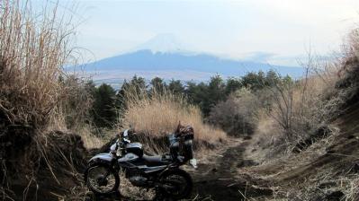 IMG_30871 (Large)