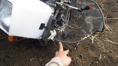 IMG_3086 (Medium)