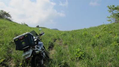 IMG_3362 (Large)