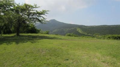 IMG_3361 (Large)