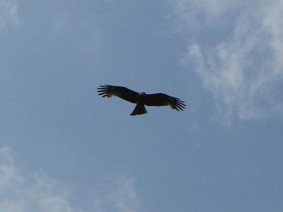 IMG_33571.jpg