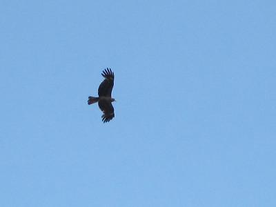 IMG_33581.jpg
