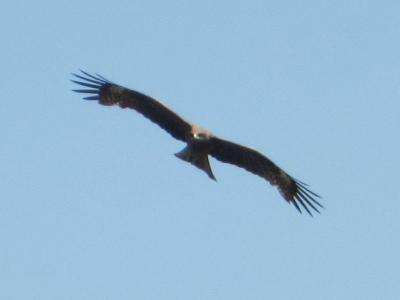 IMG_33601.jpg
